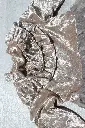 IMG_6143.webp