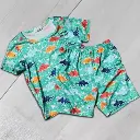 Dino 2 Piece Set PJ's