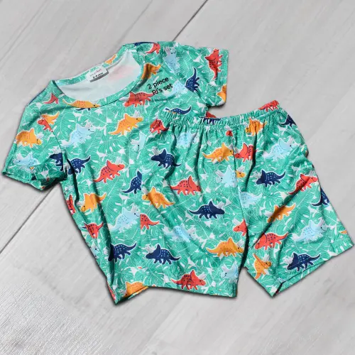 Dino 2 Piece Set PJ's