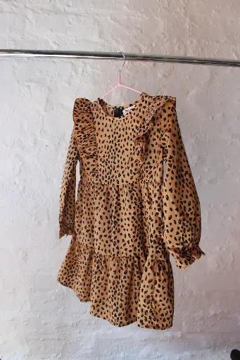 Leopard Long Sleeve Dress